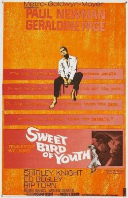 Dulce pájaro de juventud (Sweet Bird of Youth -1962 )